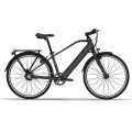 OEM Best Affordable E Bike