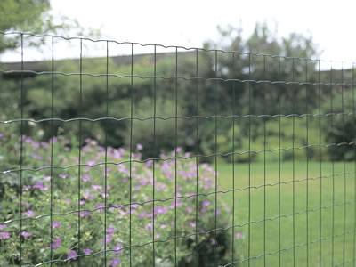 PVC Coated Euro Fence Roll