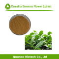 Ventes chaudes Camellia Sinensis Extrait de fleur Poudre 10: 1