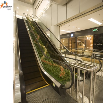 Escalera mecánica cruzada paralela para banco y centro comercial