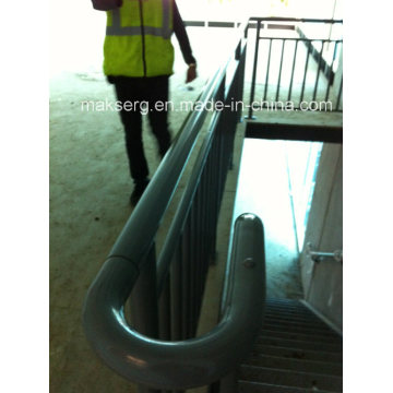 Stainless Steel Handrail for Outdoor and Indoor Use