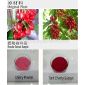 acerola cherry extract powder acerola powder