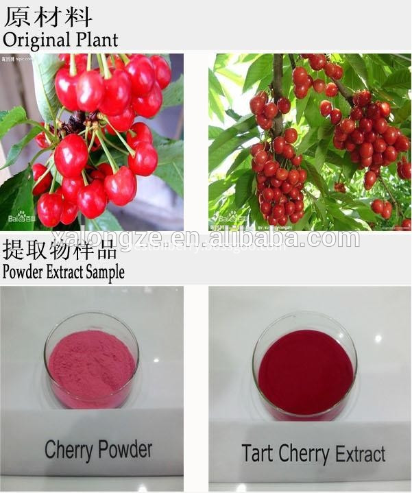 Anthocyanidins Series Tart Cherry Extract Tart Cherry 2