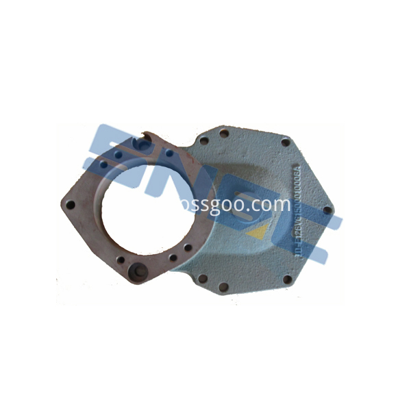 Vg1500010008a Camshaft Gear Cover 1