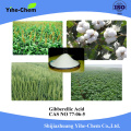 GA3 gibberellic acid powder growth growth régulator