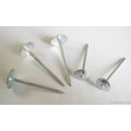 Q195 Umbrella Head Twist Shank Roofing Nails