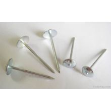 Q195 Umbrella Kopf Twist Shank Roofing Nails