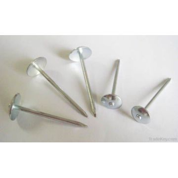 Q195 Umbrella Head Twist Shank Roofing Nails