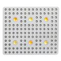 3000W COB Indoor Kräftiger LED-Anlage wachsen Licht