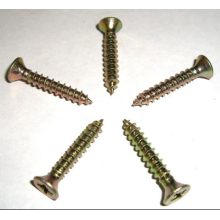 Stainless Self Tapping Screws