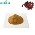 Schisandra Chinensis Extract Powder