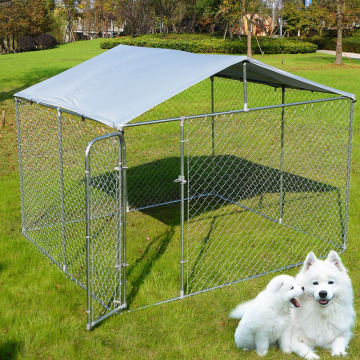 Wire Dog Kennels Outdoor