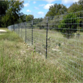 PVC coated wire mesh fence