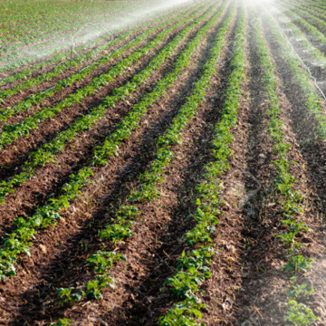 Sistema de irrigação por aspersão com efeito de estufa para rega