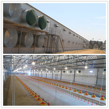 Prefab Broiler House with modern Farm Equipment