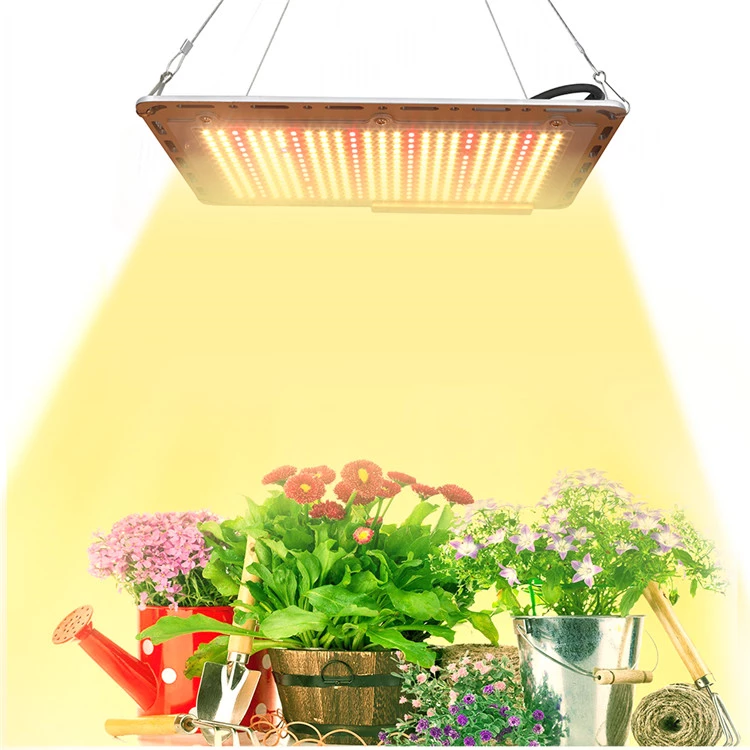 Grow Light In Bathroom