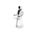 Dish Delivery Robot Humanoid Robot Waiter