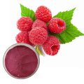 Food Flavoring Raspberry Extract Powder For Beverage