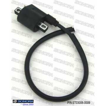 Am6 engine Ignition Coil(P/N:ST03006-0009) top quality