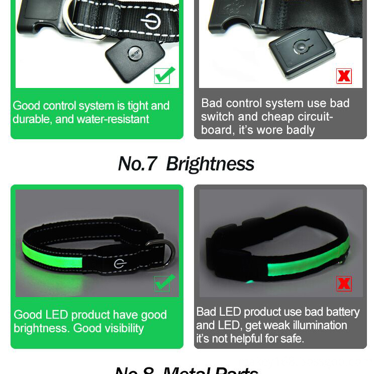 Led Glow Dog Collar