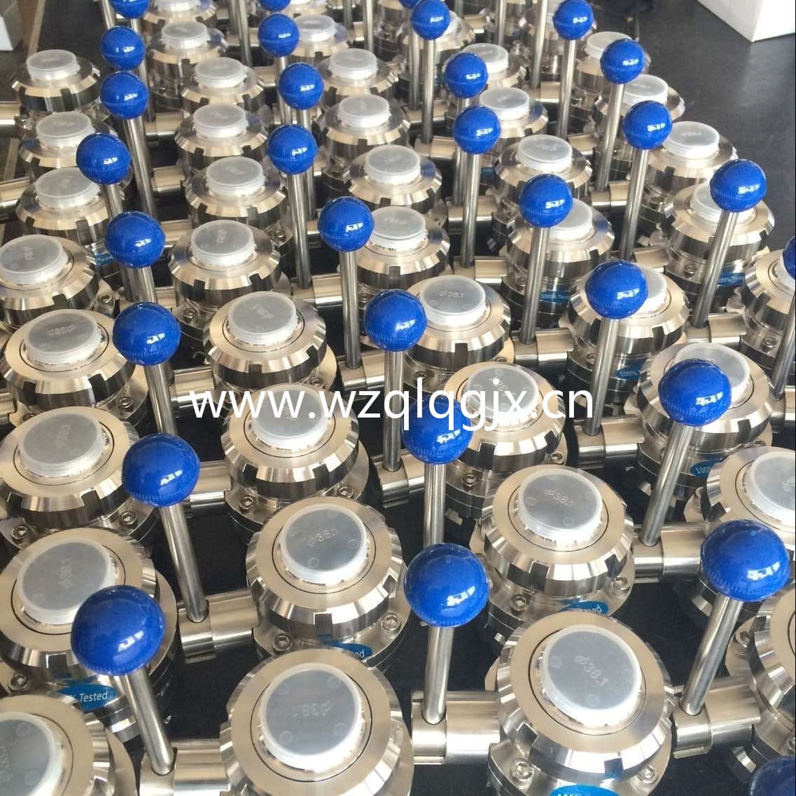 Sanitary Stainless Steel Tri Clamp Butterfly Valves