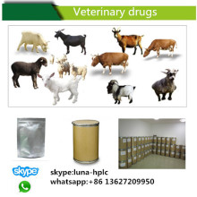 Médicament vétérinaire 7704-67-8 Médicament vétérinaire Thiocyanate d&#39;érythromycine