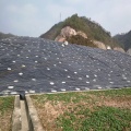 Plastic Geomembrane Best Quality and Competitive Price