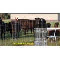 Galvanized Cattle Mesh Fence / Deer Wire Mesh