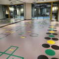 enlio спортивный пол для помещений Gymnasium Flooring