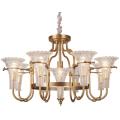 Iron Chandelier Lighting, Metal Body, Glass Fabric, 6 Lights (SL2238-6+1)