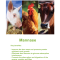 Feed Grad Nutrizyme® β-Mannase