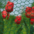 Hexagonal Chicken Wire Mesh