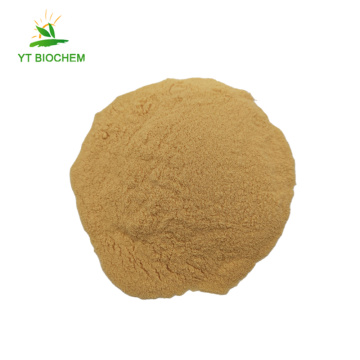 100% natural high quality organic papaya fruit powder