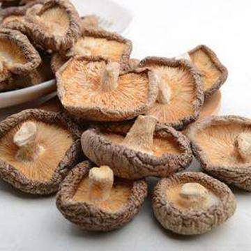 Best Dried Champignon For Health