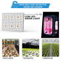 Phlizon 3000w Plant Grow LED-Lampenhydroponik