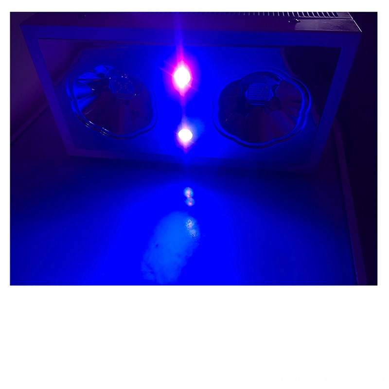 500W Grow led light for plant growth