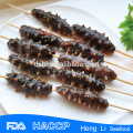 HL011 Frozen Sea Cucumber for export vacuum package