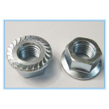 Plain Stinless Steel Hex Flange Nut (DIN6923)