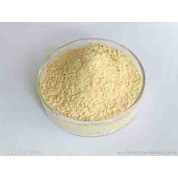 Fourniture d&#39;additifs alimentaires Riboflavine B2 CAS 83-88-5