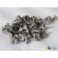 Titanium Phillips flat head machine screws