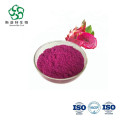 Dragon Fruit Powder Organic Pitaya juice Powder