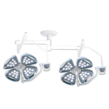 Double Head Cold Light Operating Led