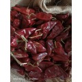 10kg jute bag with stem yidu chilli