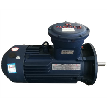 Flame Proof YB3 series Explosion-proof Induction Motor
