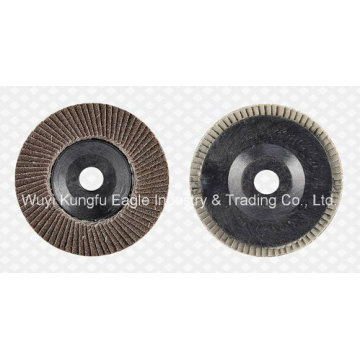 5′′ Kalzinierung Oxid Klappe Abrasive Discs (Kunststoff decken 27 * 15mm)