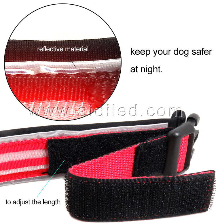 Best Illuminated Dog Collar