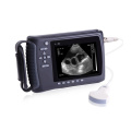 Ultrasound scanner for small animals