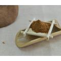 Wholesale Raw Material Shiitake Mushroom Powder