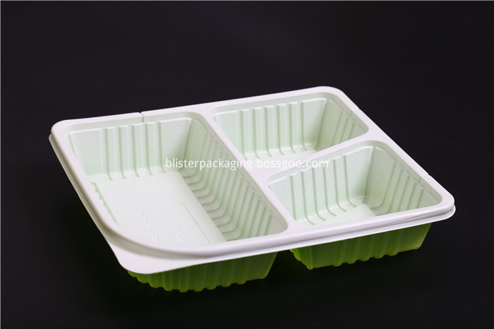 Disposable Lunch Containers