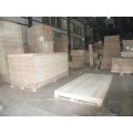 12 mm, grueso de Paulownia Straight Lamella Board